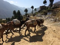 Unique but common mode of transportation in Karnali area, Nepal